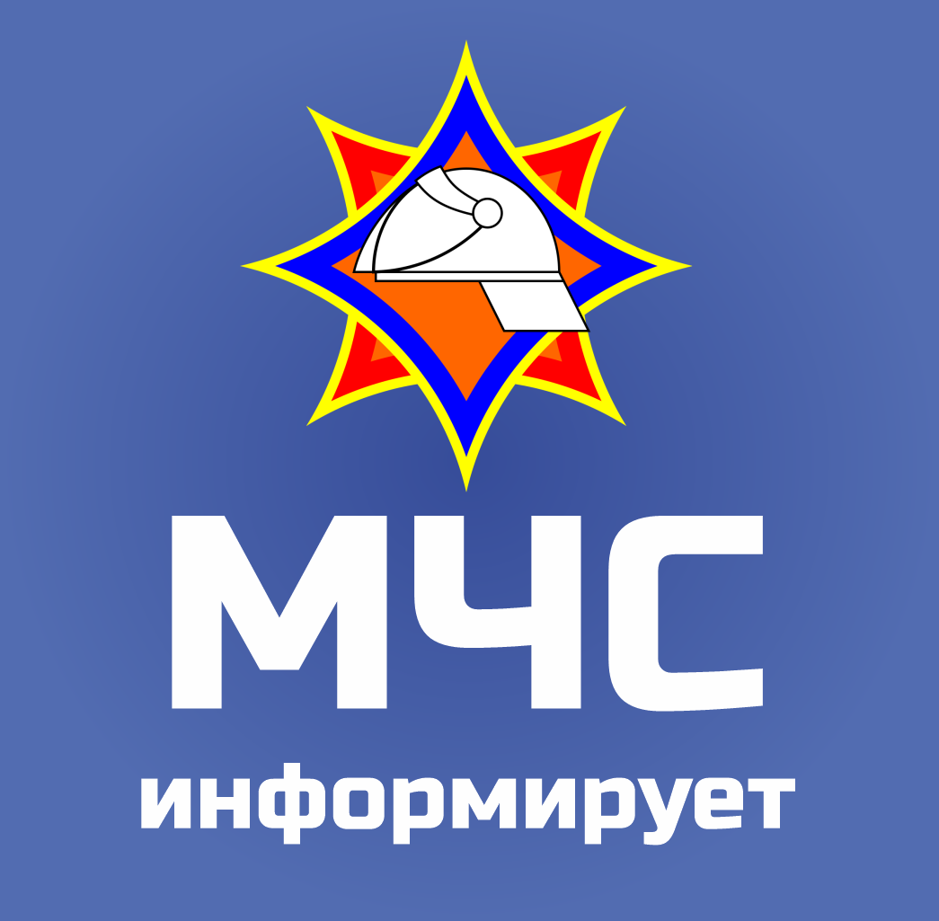 Экспресс-информация службы 101 в период с 2 по 9 февраля