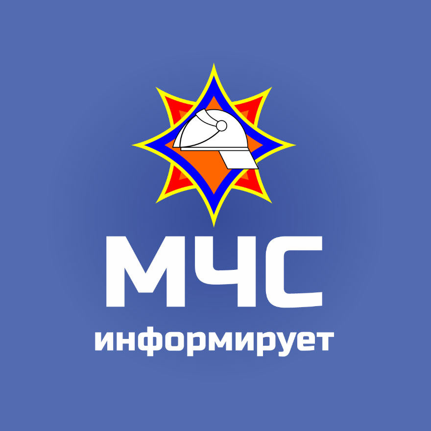 МЧС информирует. Период с 12 по 19 января 